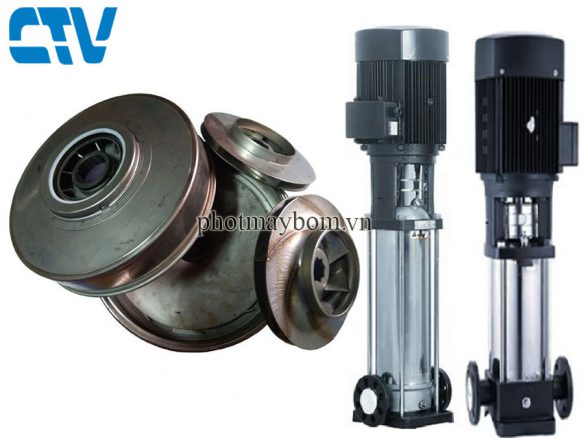 Ruột buồng bơm trục đứng Paragon PV 1-150