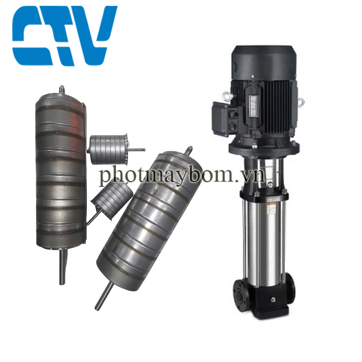 Buồng bơm trục đứng Shimge BL 12-12