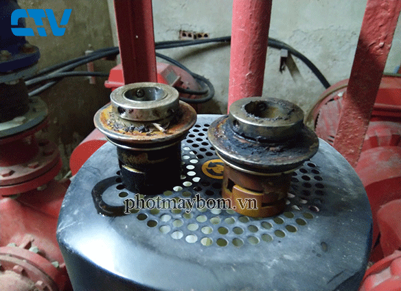 Hướng dẫn thay phớt máy bơm công nghiệp chuẩn kỹ thuật